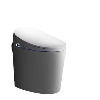 Drėkinimo Slėgio Ribos Mažas Butas Smart Tualetas Automatinė Buitinių Elektros Mažas
